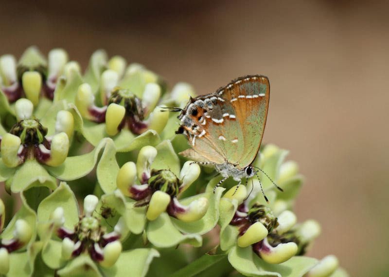 30123499322 c4ba3ffd05 b