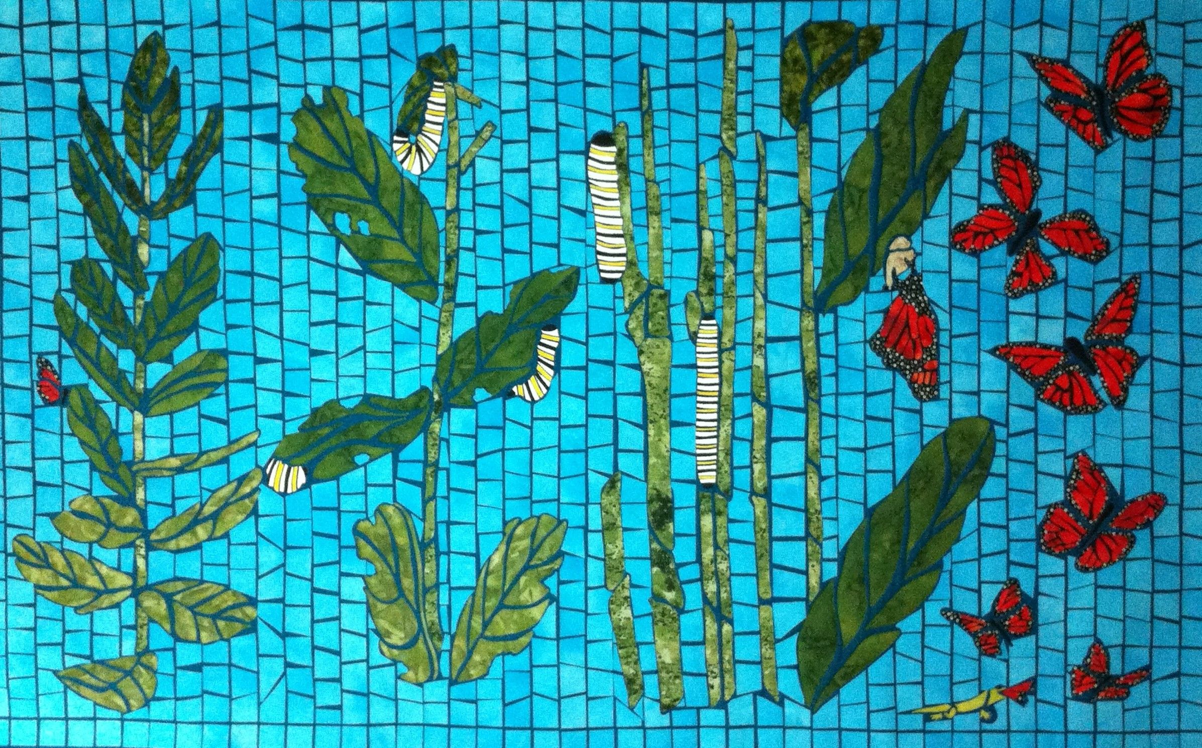 Noll Milkweed to Monarchs